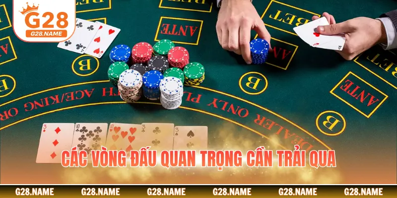 Các vòng đấu quan trọng cần trải qua