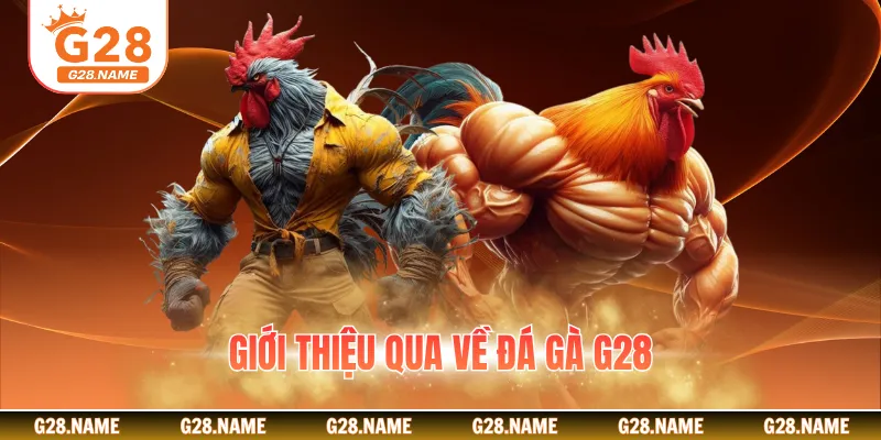 Giới thiệu qua về đá gà G28