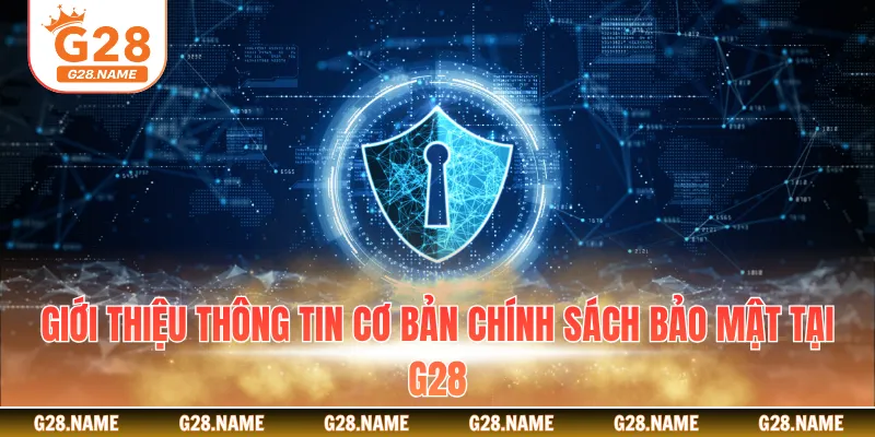 Giới thiệu thông tin cơ bản chính sách bảo mật tại G28